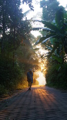 a man walking in the woods