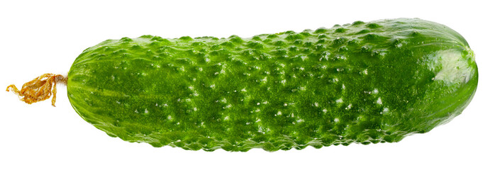Cucumber isolated on white