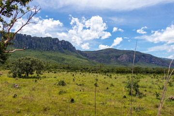 Cerrado e montanhas com o céu azul e nuvens brancas.