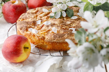 Tasty homemade apple pie on table