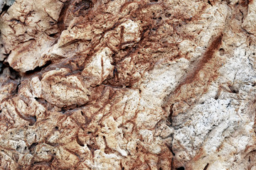 beautiful texture of the stone. Close up rock stone texture background.