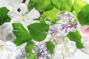 Flowers in ripple water with waves and bubbles. Beauty, nature, spa concept