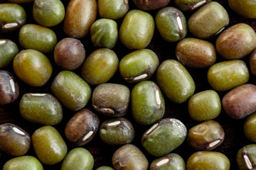 close up of green beans