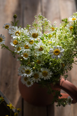 Wild seasonal daisies in a rustic vase 