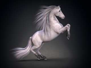 Naklejka na ściany i meble Beautiful white horse. 3D rendering