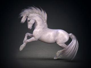 Beautiful white horse. 3D rendering - obrazy, fototapety, plakaty