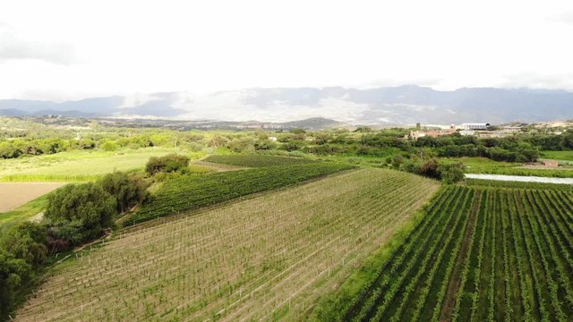 vi&ntilde;edo vista aerea del  valle