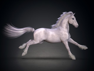 Plakat Beautiful white horse. 3D rendering