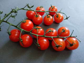 tomatoes on the vine