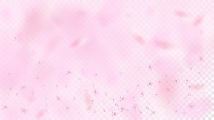 Nice Sakura Blossom Isolated Vector. Realistic Showering 3d Petals Wedding Frame. Japanese Beauty Spa Flowers Illustration. Valentine, Mother's Day Magic Nice Sakura Blossom Isolated on Rose