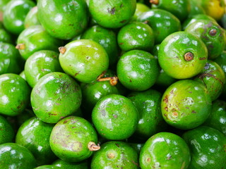 Fresh or raw avocado for sell at market.