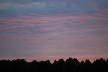 the beautiful pink clouds