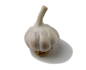 Garlic head isolated on a white background.