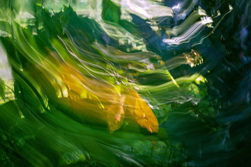 Out Of Focus Background From Intentional Camera Movement