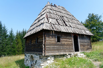 Fototapeta na wymiar Old abandoned traditional wooden house with stone foundations (Mountain Tara, Serbia)