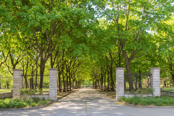 Fototapeta na wymiar Entrance to the Lafontaine Park with a shady walkway in Montreal, Canada