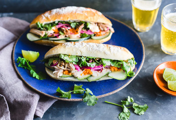 pulled pork vietnamese sandwich with  pickled onion, cucumber, carrot and sriracha sauce on a gray surface