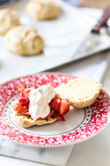 strawberry shortcake with cream on a cute plate