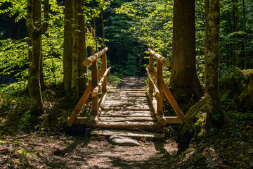 Ostertaltobel in the Gunzesried valley