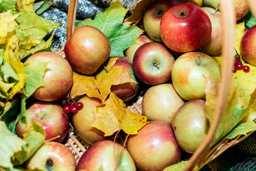 Autumn composition of apples, leaves and berries