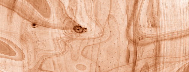 Brown wooden texture background. wood texture with natural pattern. old wood pattern backdrop.