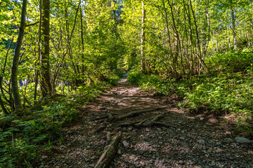 Ostertaltobel in the Gunzesried valley
