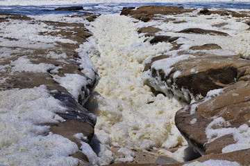 large amounts of Sea foam off the coast of La Jolla after an algae bloom