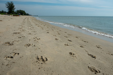 Maharaja beach in Southern Thailand 