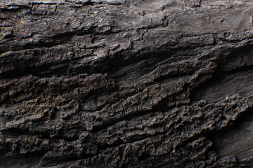Texture 407