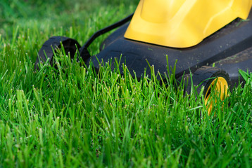 lawn mower trimming grass, close up
