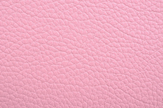 Pink Leather Images – Browse 129,636 Stock Photos, Vectors, and Video