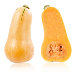Fresh butternut squash isolated on a white background.