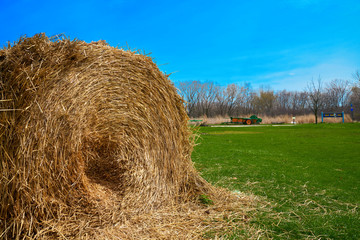 Scenic View of Hay Bales in the Field with Blue Skies 