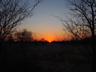 Sunset in Botswana, Planet Baobab, Botswana