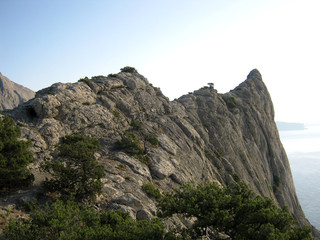   travel mountain climbing wood the mountains beatiful gorgeous sunny sky tree  