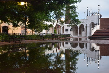 Mundo reflejo 