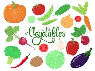 Vector set of different vegetables. Organic and fresh products.  Healthy food concept. Hand drawn vegetables. Isolated on white background.