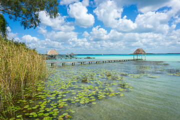 muelle en la laguna de los siete colores Bacalar Quintana Roo Mexico