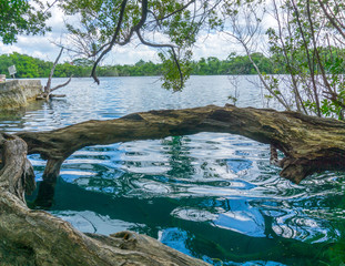 cenote azul en Bacalar Quitana Roo Mexico
