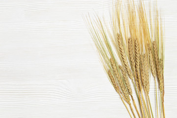 Ears of ripe rye. White wooden background with ripening ears close up. Concept of autumnal harvest time. Flat lay with copy space.