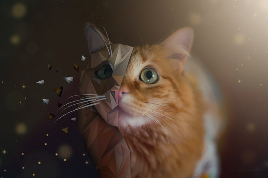gato pixelado