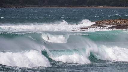 Fototapeta premium Surfing in large swell off a Sydney Beach