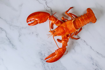 Top view of delicious freshly steamed lobster on white slate plate