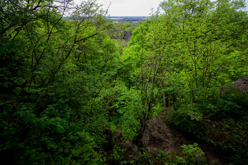 Beautiful Rock Cliffs in a Dense Late Spring Forest at Ledge County Park near Horicon Marsh, Wisconsin