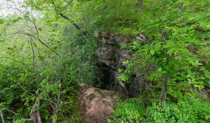 Obraz premium Beautiful Rock Cliffs in a Dense Late Spring Forest at Ledge County Park near Horicon Marsh, Wisconsin