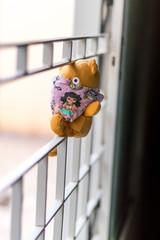 teddy bear in isolation