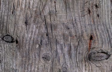 Natural colored old wood texture, macro shot