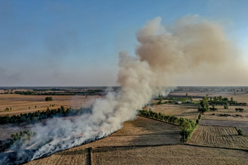 Smoke and burnt grass on the field.