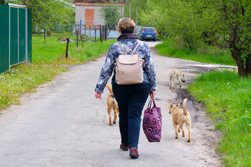 Woman walks down road in dog box