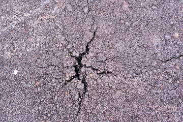 crack in the asphalt close-up color